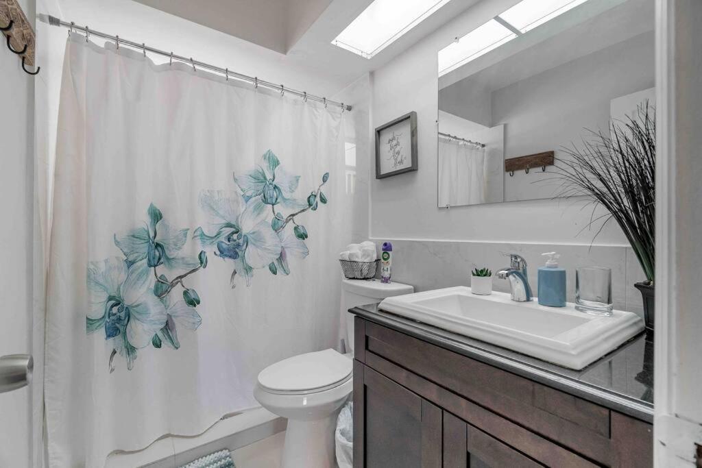 Solymar II Miami Beach House Zewnętrze zdjęcie