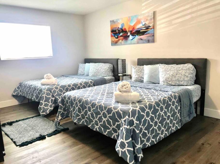 Solymar II Miami Beach House Zewnętrze zdjęcie
